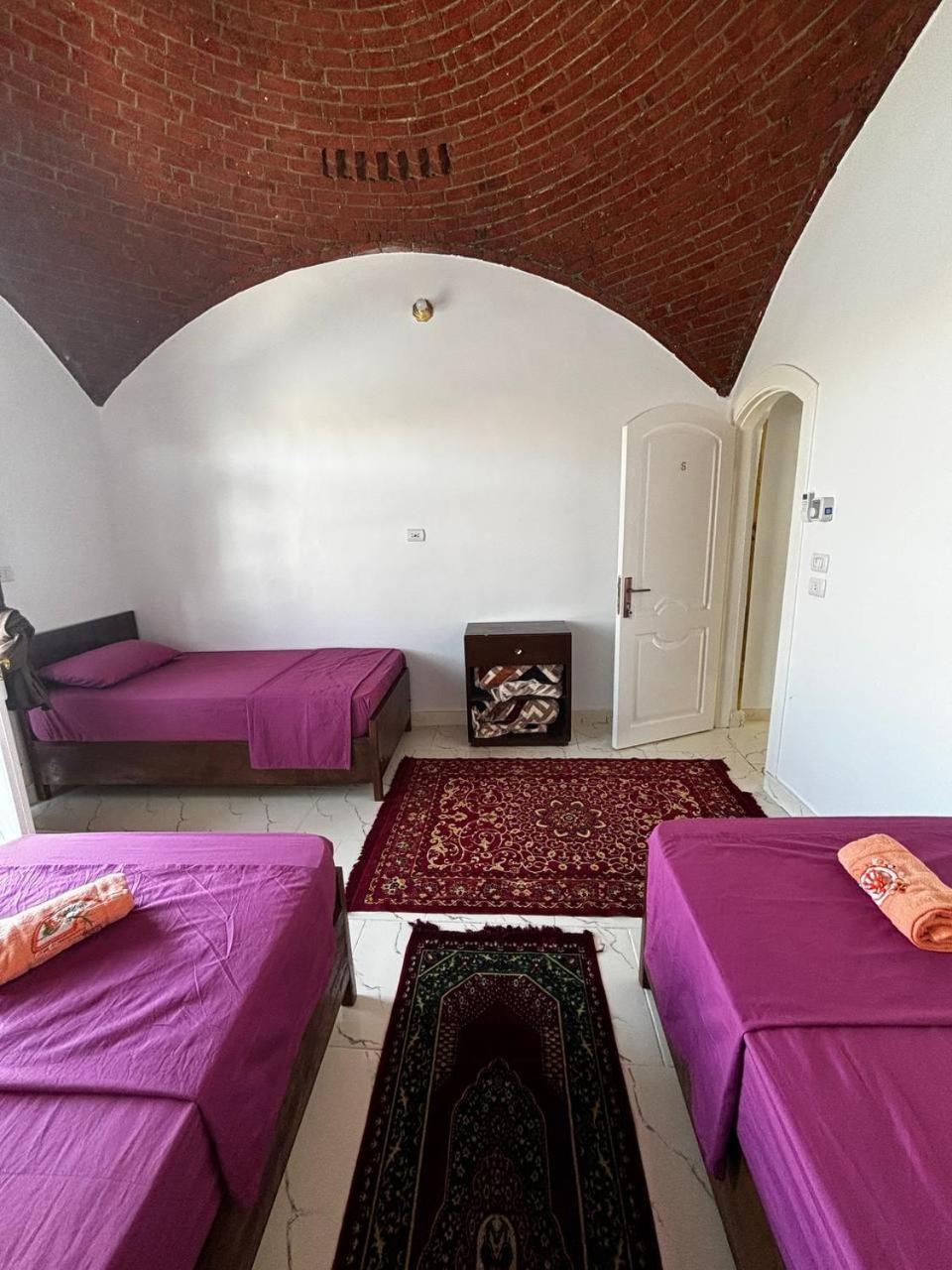 Nile View Guest House 阿斯旺 外观 照片