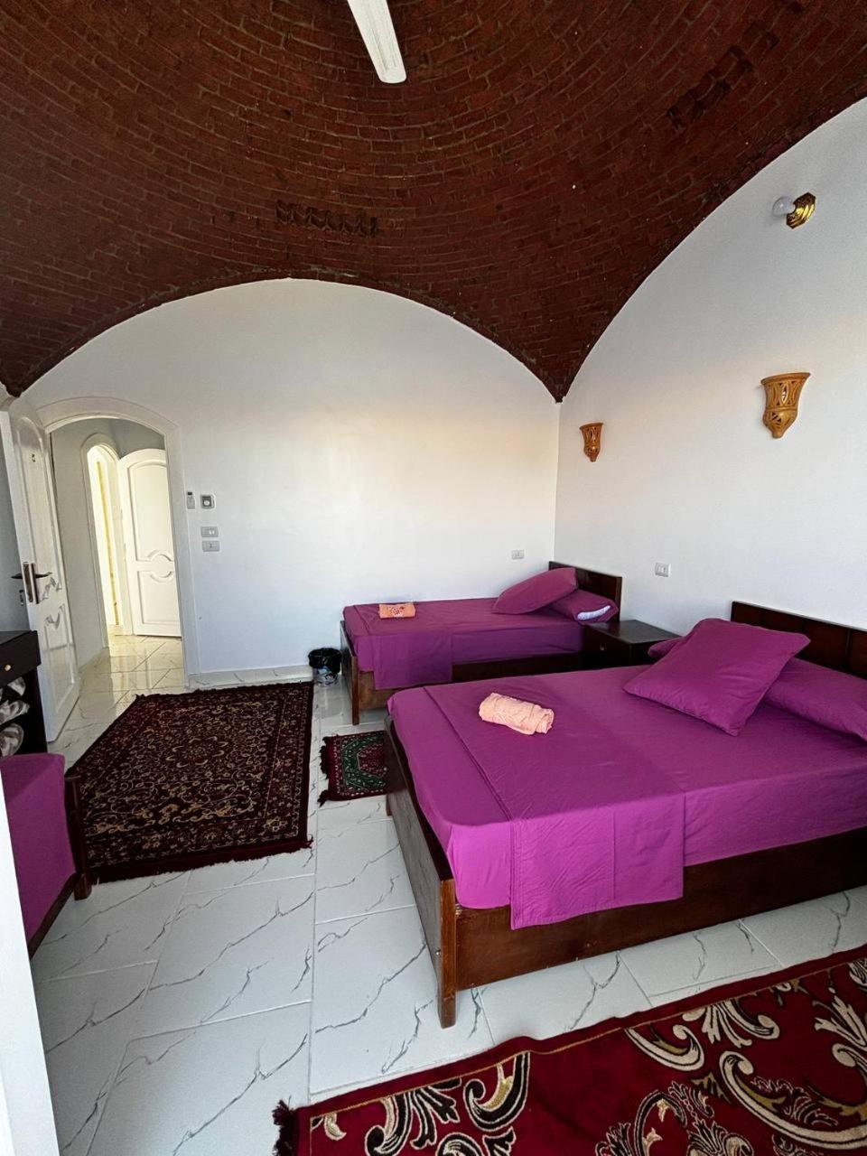 Nile View Guest House 阿斯旺 外观 照片
